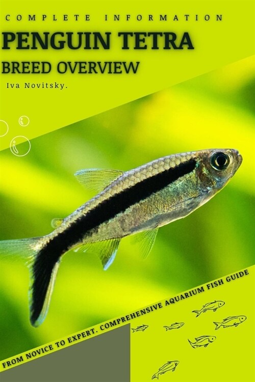 Penguin Tetra: From Novice to Expert. Comprehensive Aquarium Fish Guide (Paperback)