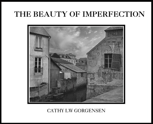 The Beauty of Imperfection (Hardcover)