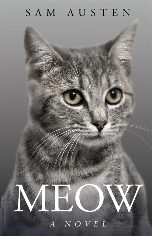 Meow (Paperback)