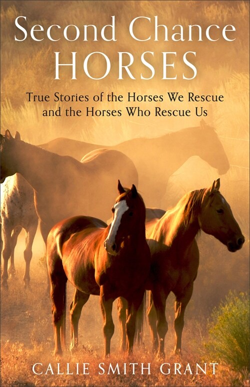 Second-Chance Horses (Hardcover)