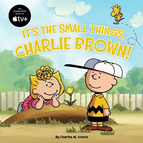 Its the Small Things, Charlie Brown! (Paperback)