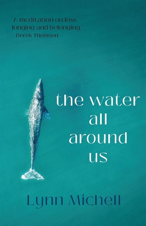 The water all around us (Paperback)