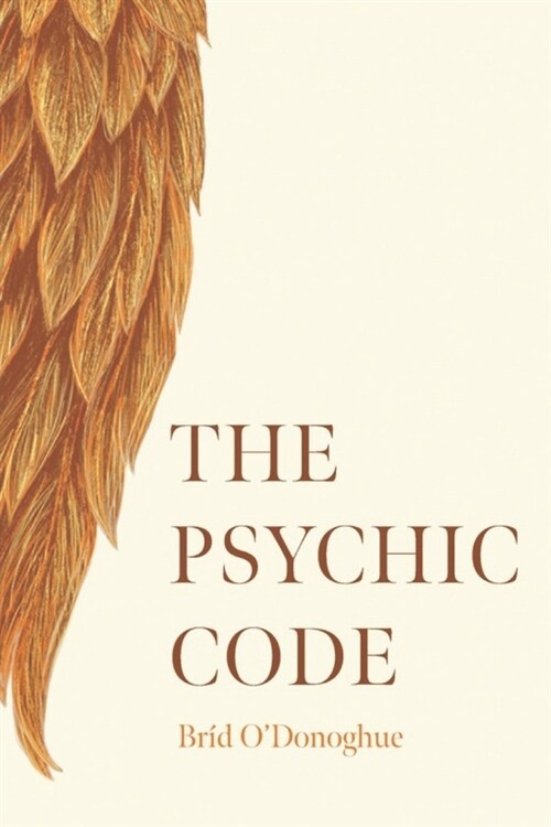 The Psychic Code (Paperback)