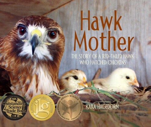 Hawk Mother: The Story of a Red-Tailed Hawk Who Hatched Chickens (Paperback)
