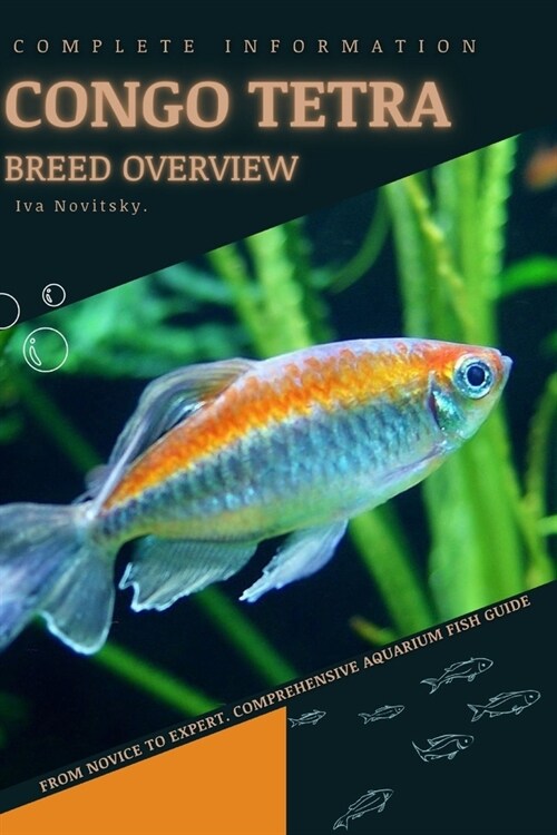 Congo Tetra: From Novice to Expert. Comprehensive Aquarium Fish Guide (Paperback)
