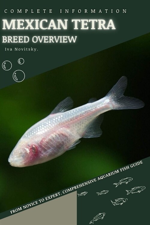 Mexican Tetra: From Novice to Expert. Comprehensive Aquarium Fish Guide (Paperback)