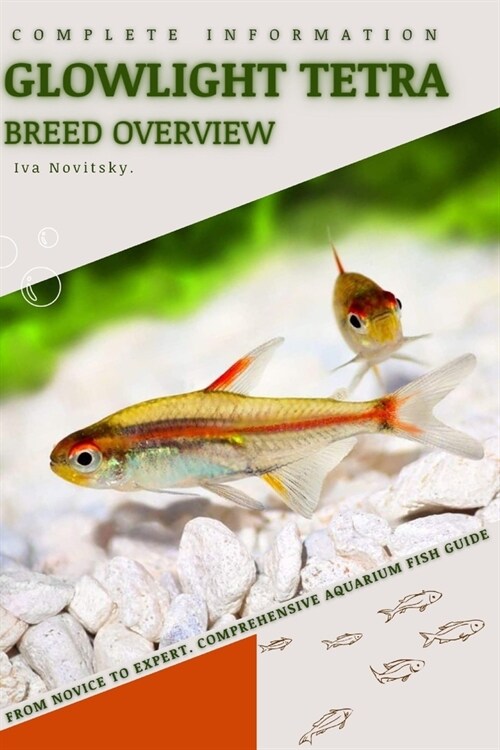 Glowlight Tetra: From Novice to Expert. Comprehensive Aquarium Fish Guide (Paperback)
