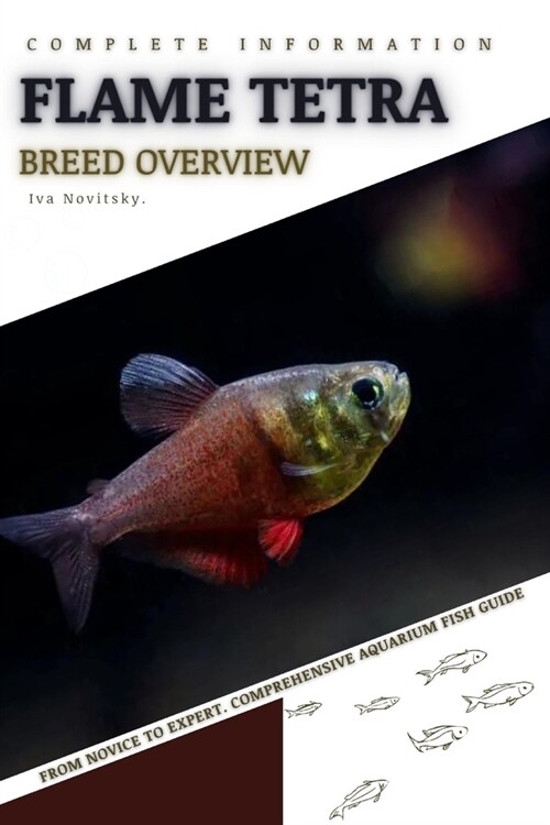 Flame Tetra: From Novice to Expert. Comprehensive Aquarium Fish Guide (Paperback)