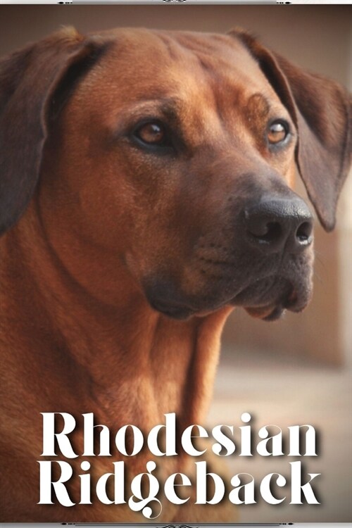 Rhodesian Ridgeback: Dog breed overview and guide (Paperback)