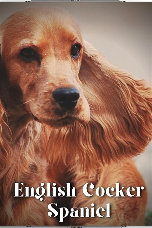 English Cocker Spaniel: Dog breed overview and guide (Paperback)