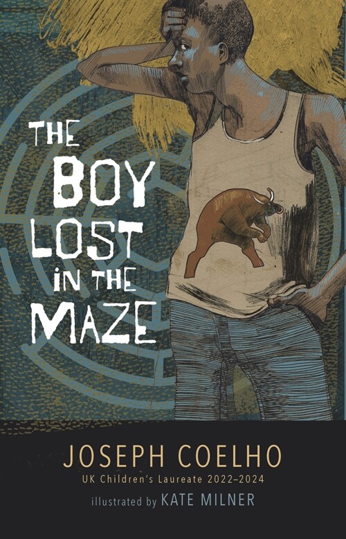 The Boy Lost in the Maze (Hardcover)