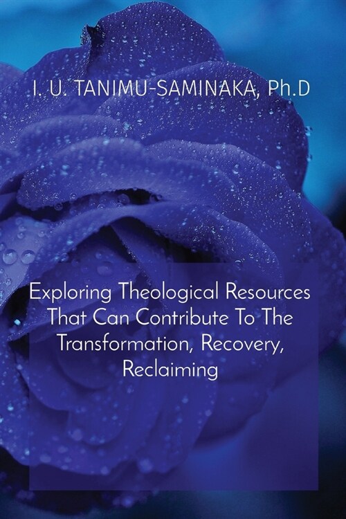 Exploring Theological Resources That Can Contribute To The Transformation, Recovery, Reclaiming (Paperback)