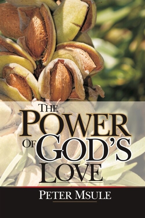 The Power of Gods Love (Paperback)