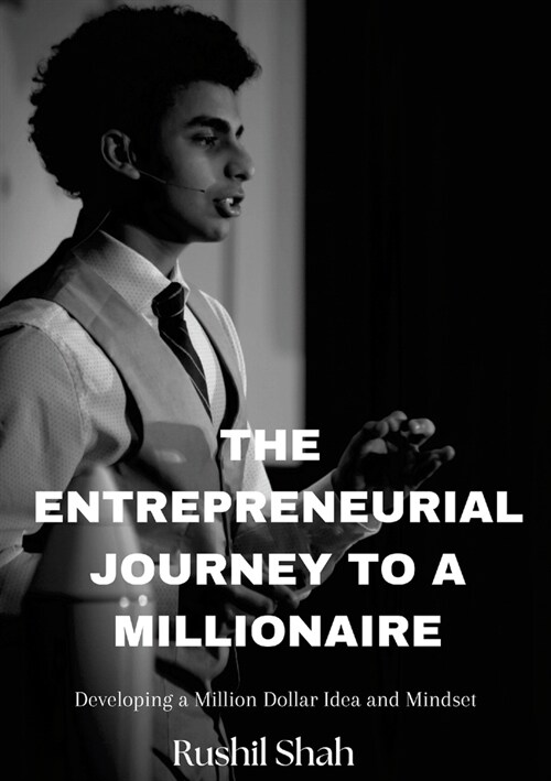 The Entrepreneurial Journey to a Millionaire (Paperback)
