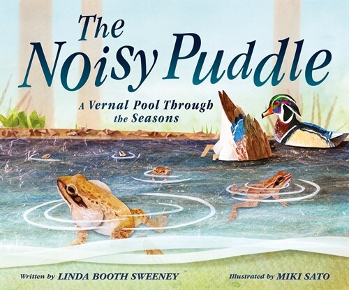 The Noisy Puddle: A Vernal Pool Through the Seasons (Hardcover)