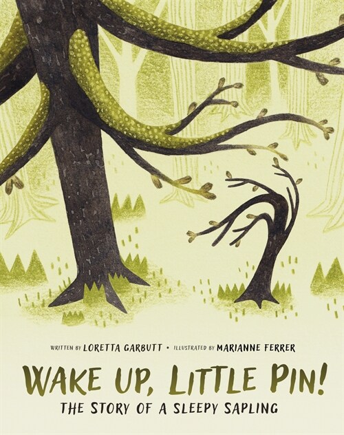 Wake Up, Little Pin!: The Story of a Sleepy Sapling (Hardcover)