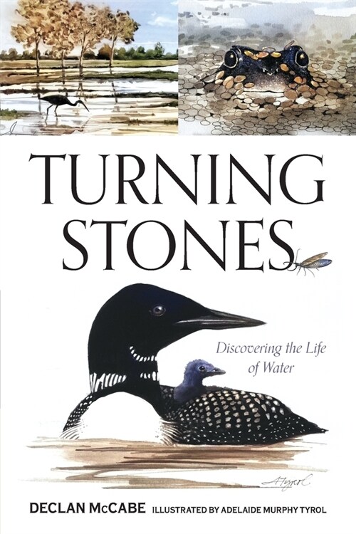 Turning Stones: Discovering the Life of Water (Paperback)