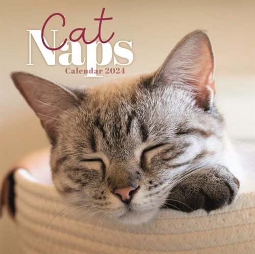 Cat Naps Mini Calendar 2024 (Calendar)
