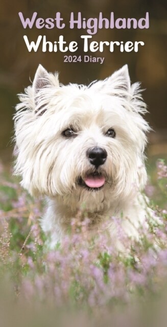 West Highland White Terriers Slim Diary 2024 (Diary)