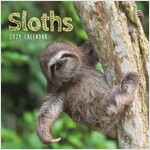 Sloths Mini Calendar 2024 (Calendar)