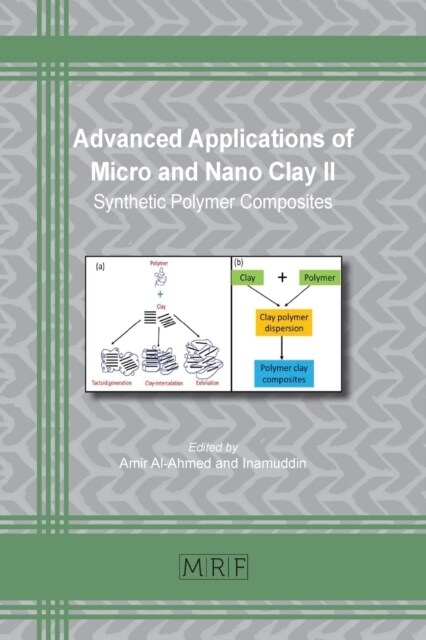 Advanced Applications of Micro and Nano Clay II : Synthetic Polymer Composites (Paperback)