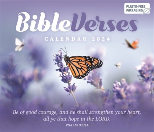 Bible Verses Box Calendar 2024 (Calendar)