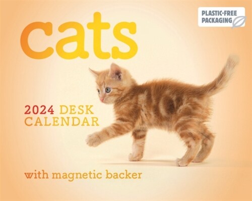 Cats Mini Box Calendar 2024 (Calendar)