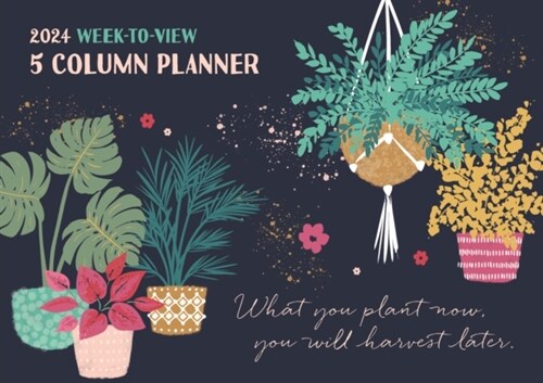 Bohemia Week-to-View Planner A4 Calendar 2024 (Calendar)
