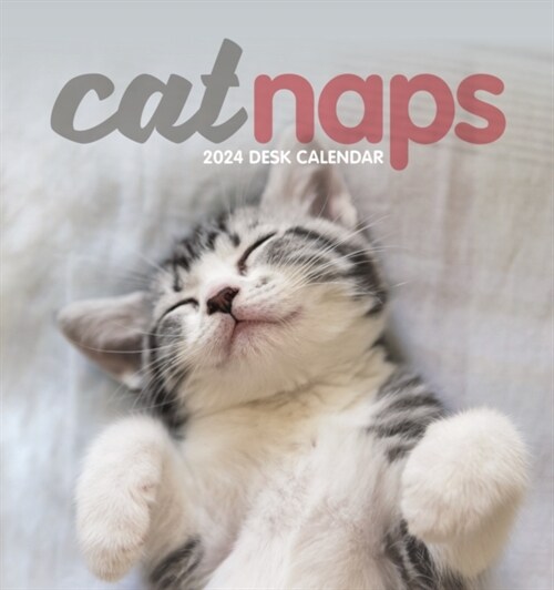 Cat Naps Easel Desk Calendar 2024 (Calendar)