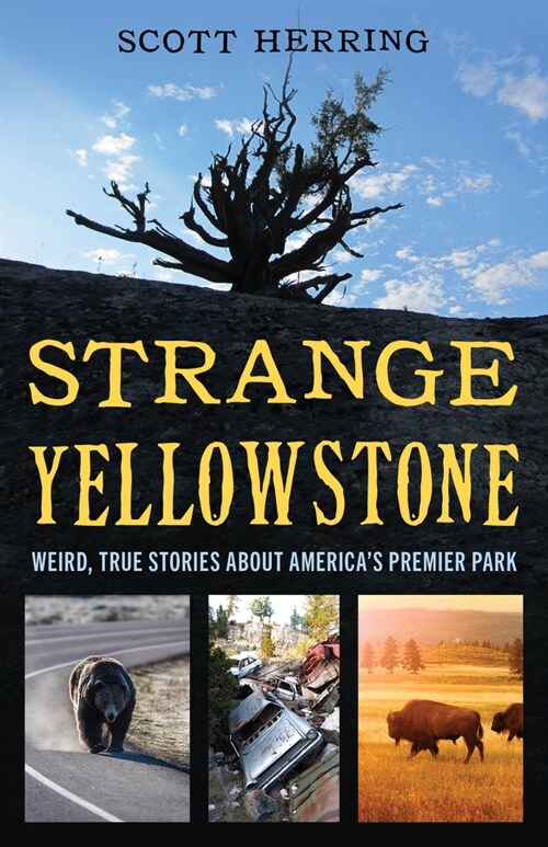 Strange Yellowstone: Weird, True Stories about Americas Premier Park (Paperback)