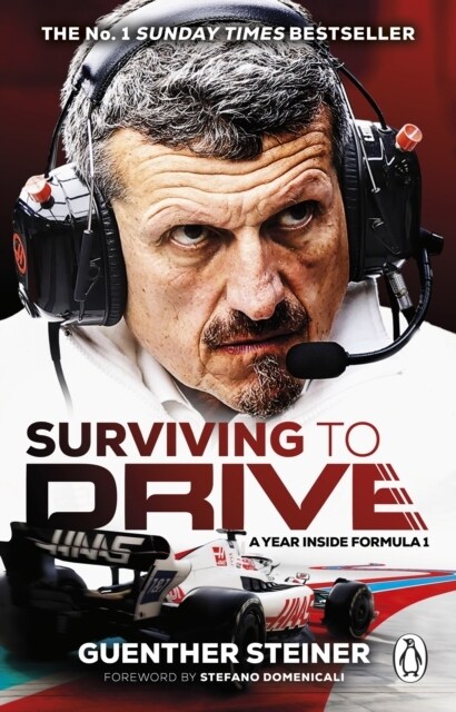 Surviving to Drive : A Year Inside Formula 1 (Paperback)