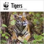 WWF Tigers Square Wall Calendar 2024 (Calendar)