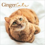 Ginger Cats Square Wall Calendar 2024 (Calendar)