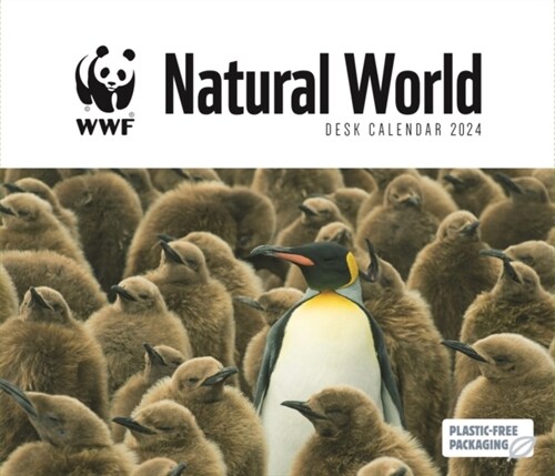 WWF Natural World Box Calendar 2024 (Calendar)