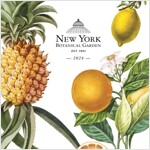 New York Botanical Gardens Mini Sunday Start Calendar 2024 (Calendar)