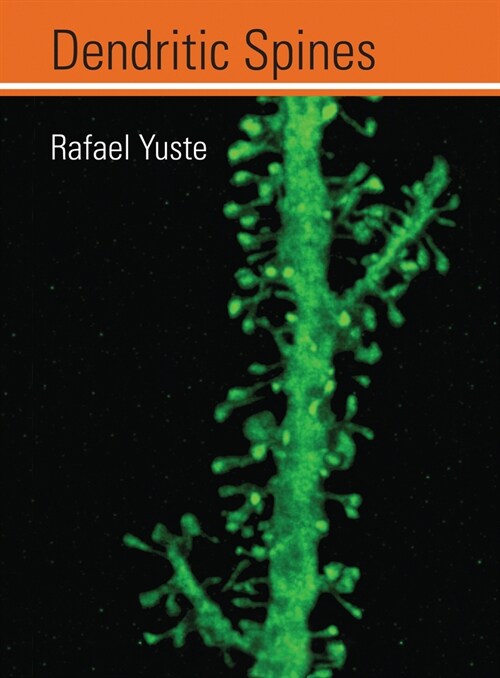 Dendritic Spines (Paperback)