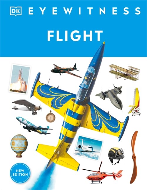 Eyewitness Flight (Hardcover)
