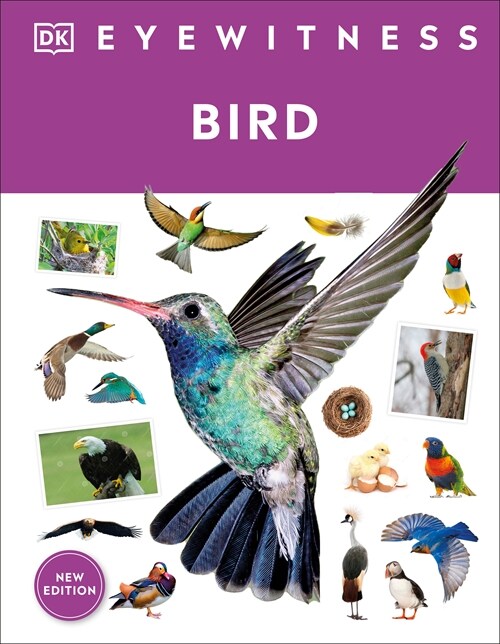 Eyewitness Bird (Hardcover)