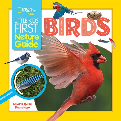 Little Kids First Nature Guide Birds (Paperback)