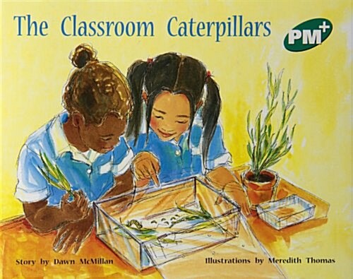 Classroom Caterpillars PM Plus Level 13 Green (Paperback)