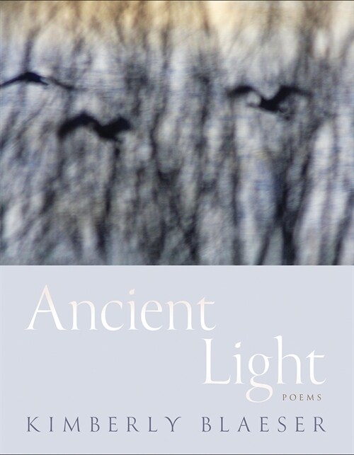 Ancient Light: Poems (Paperback)