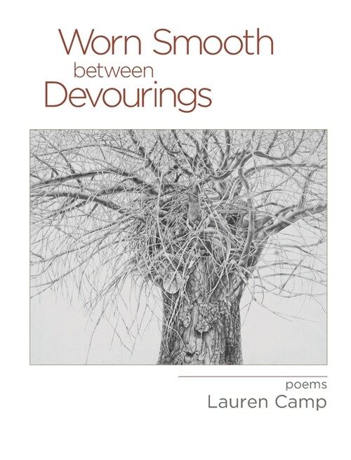 Worn Smooth between Devourings (Paperback)