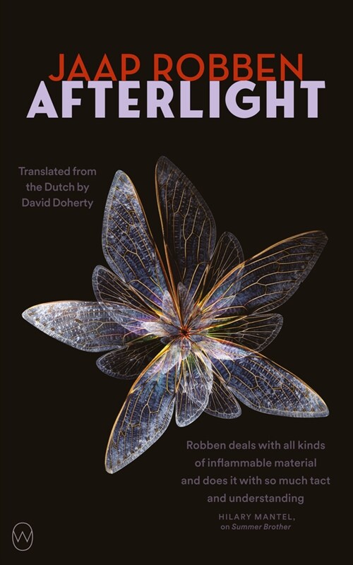 Afterlight (Paperback)