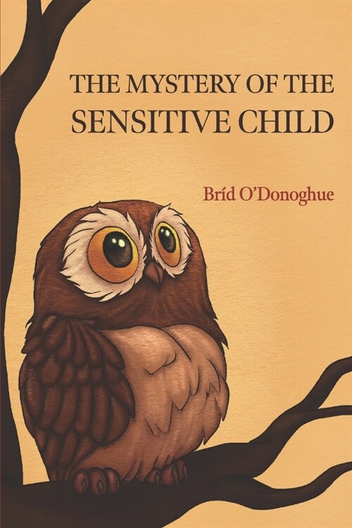 The Mystery of the Sensitive Child (Paperback)