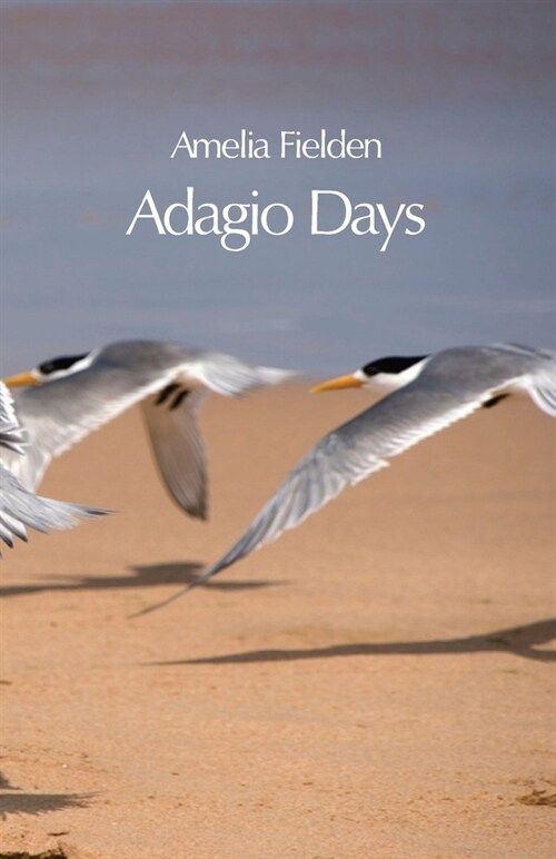 Adagio Days (Paperback)
