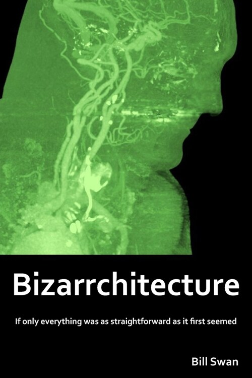 Bizarrchitecture (Paperback)