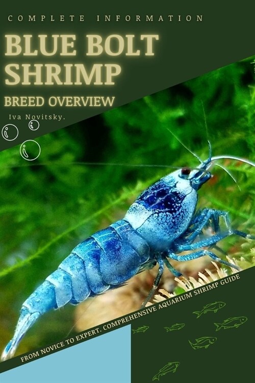 Blue Bolt Shrimp: From Novice to Expert. Comprehensive Aquarium shrimp Guide (Paperback)
