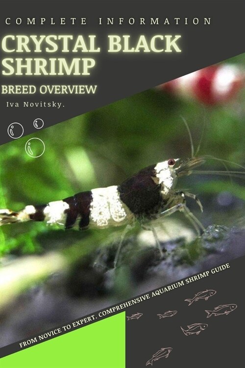 Crystal Black Shrimp: From Novice to Expert. Comprehensive Aquarium shrimp Guide (Paperback)