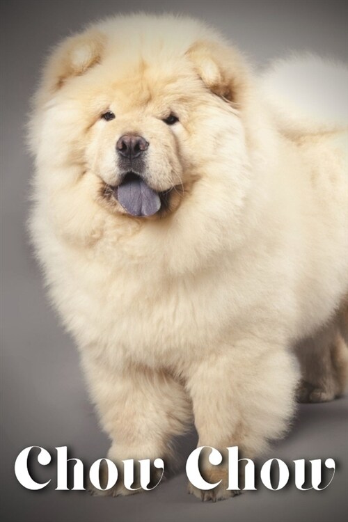 Chow Chow: Dog breed overview and guide (Paperback)