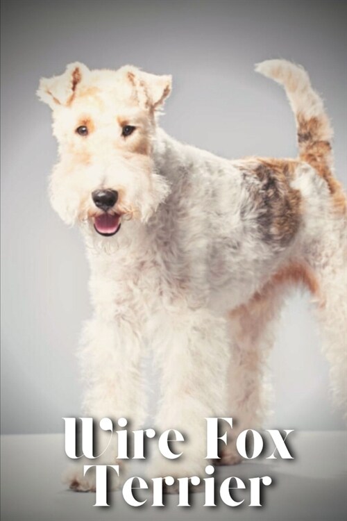 Wire Fox Terrier: Dog breed overview and guide (Paperback)